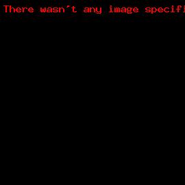 TM Rallysport In Action